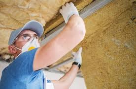 Best Attic Insulation Installation  in Delmar, MD