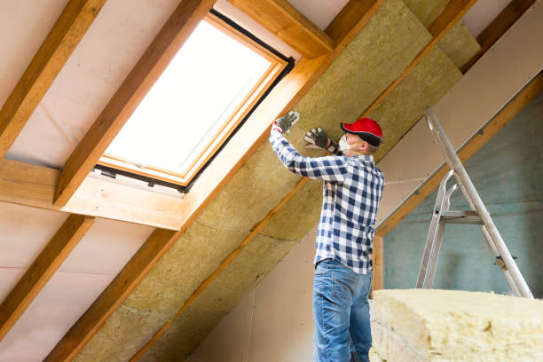 Best Spray Foam Insulation  in Delmar, MD