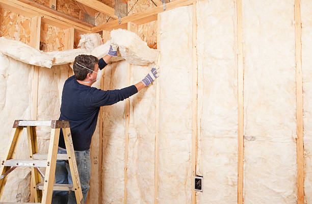 Best Fireproof Insulation  in Delmar, MD