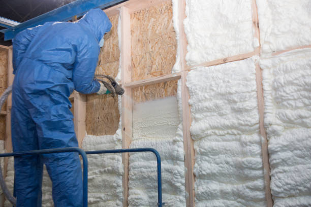 Best Pipe and Duct Insulation  in Delmar, MD